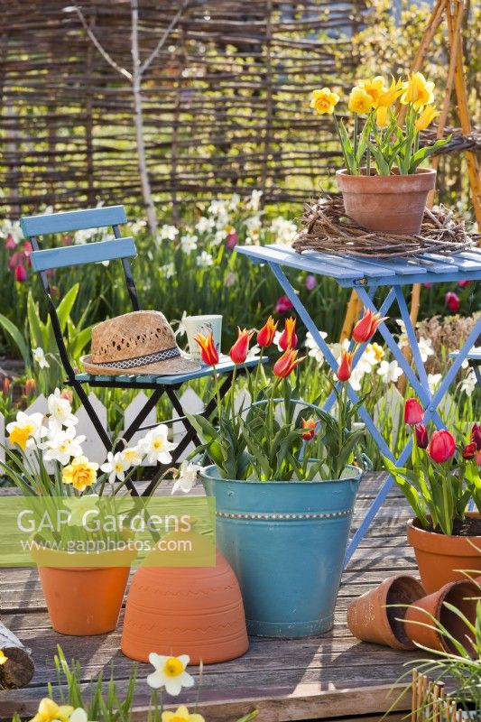 Relaxing area on decked patio with spring flowers in containers.