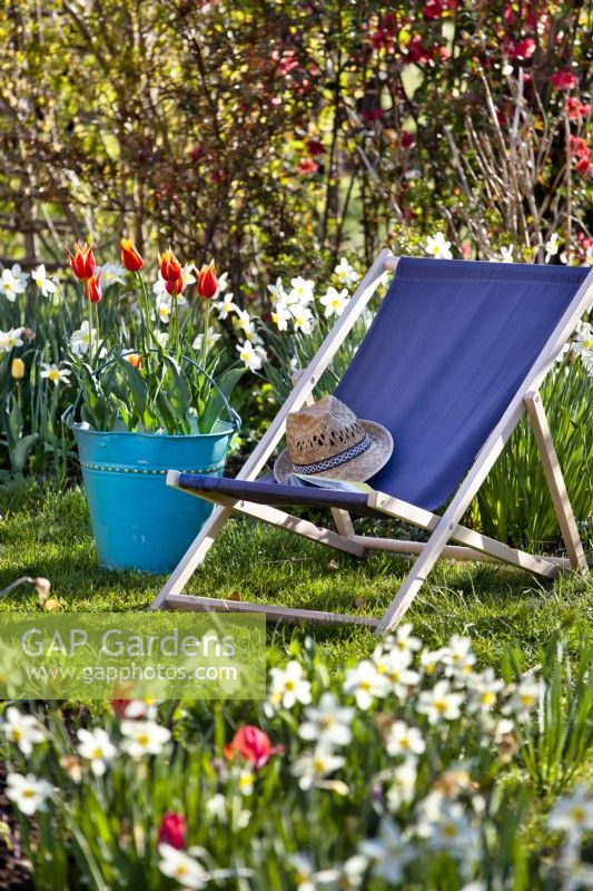 Deckchair amongst spring flowers.