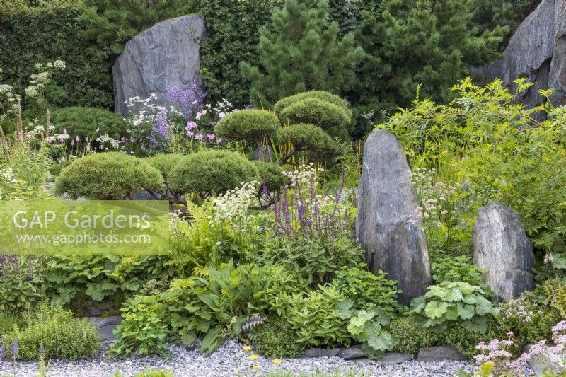 Restful green planting with monolithic stones. Cloud-pruned Pinus mugo 'Gnom', and Pinus cembra are surrounded by perennial plants including Salvia, Alchemilla mollis, and astrantias. Bodmin Jail: 60degrees East - A Garden between Continents