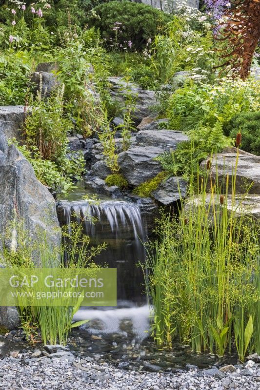 Waterfall cascades down rocks with a calm green, planting surrounding it. Foreground plants include water plantain Alisma plantago-aquatica, bulrush Typha lugdunensis, and fern Dryopteris filix-mas. Bodmin Jail: 60degrees East - A Garden between Continents.