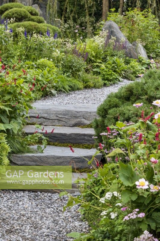 Steps carved from rock and lined with plants lead up a gravel path made from chipped rock. Plants include Pinus mugo 'Pumillo', Anemone x hybrida, Persicaria amplexicaulis, Salvia nemerosa 'Caradonna', Veronica longifolia, various Astrantia, and achillea. cloud-pruned Pinus mugo 'Gnom' at the back. Bodmin Jail: 60degrees East - A Garden between Continents.