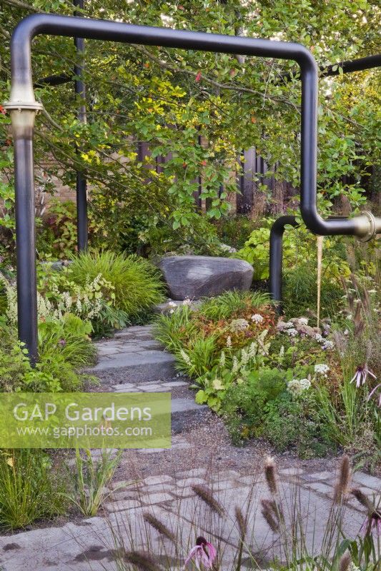 Stone steps through mixed autumn borders to the wooden seat. The M&G Garden, RHS Chelsea Flower Show 2021