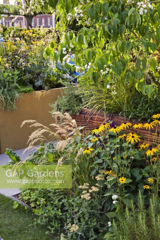 Mixed planting with sanguisorbas, rudbeckias, kale, achilleas, rosemary, and salvias. The Parsley Box Garden at Chelsea Flower Show 2021 