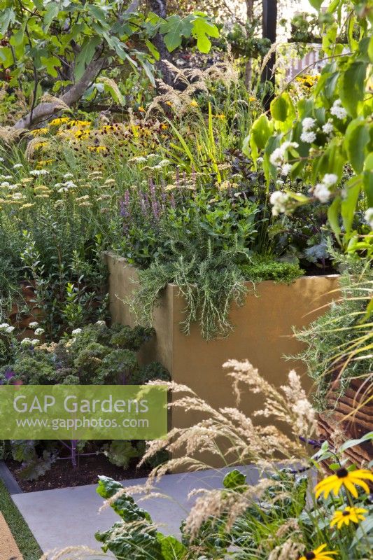 Mixed planting with sanguisorbas, rudbeckias, kale, achilleas, rosemary, and salvias. The Parsley Box Garden at Chelsea Flower Show 2021 