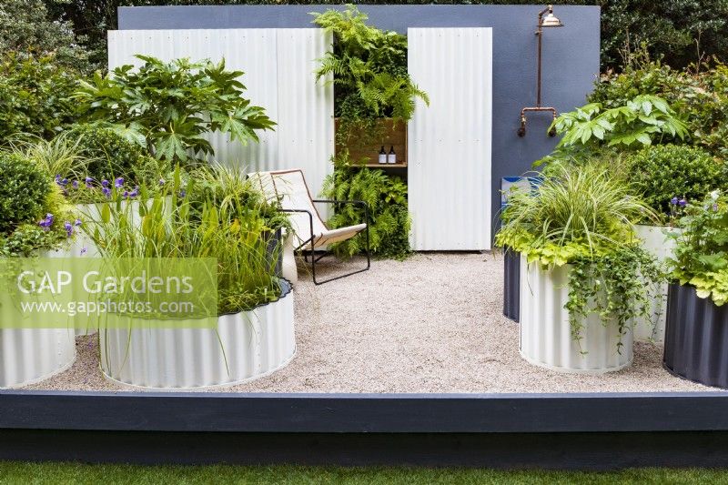 Hot Tin Roof Garden. Corrugated steel cream and dark grey painted circular containers, including small pool. Shade-loving planting includes Fatsia japonica, Carex 'Ice Dancer', Geranium 'Rozanne', with Pontederia lanceolata in the pond. Ferns at the back include Polypodium vulgare and Dryopteris erythrosora 'Brilliance'.