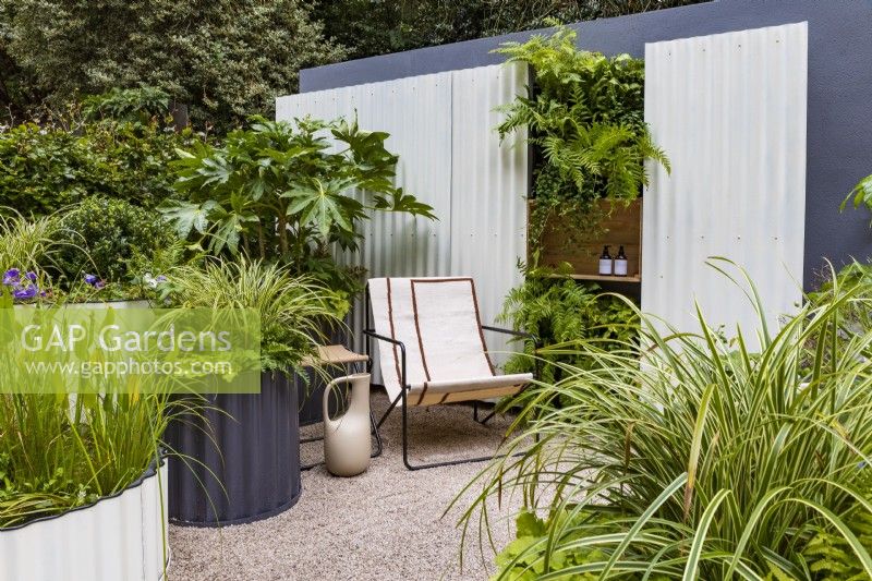 Hot Tin Roof Garden. Cream deck chair and jug with corrugated steel cream painted back wall and circular containers, including small pool. Shade-loving planting includes Fatsia japonica, Carex 'Ice Dancer', Heuchera 'Key Lime Pie', and Geranium 'Rozanne', with Pontederia lanceolata in the pond. Ferns at the back include Polypodium vulgare and Dryopteris erythrosora 'Brilliance'.