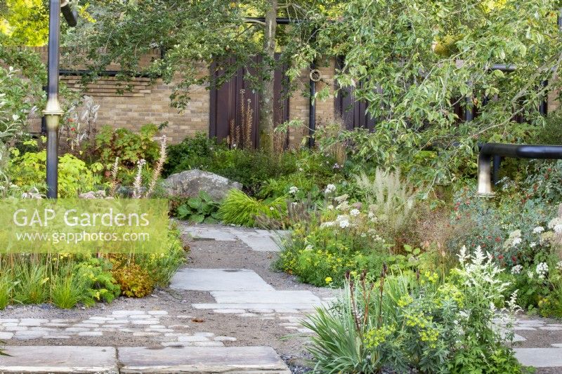 The M and G Garden. Paved area with a mix of gravel and paving for improved drainage. Featuring urban industrial decorative pipework. Autumn planting combination including Acanthus hungaricus 'White Lips', Euphorbia wallichii, Sporobolus heterolepis, Rosa glauca, and Artemisia lactiflora.