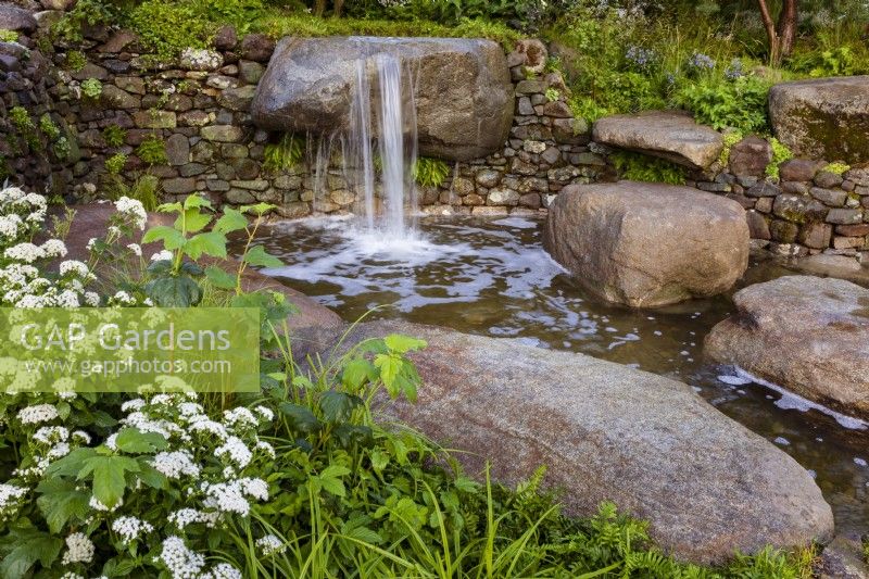 Psalm 23 Garden. Naturalistic cascade of water from granite, worn rocks in drystone wall into tranquil pool. Featuring Eupatorium 'Lucky Melody' and young shoots of Viburnum opulus .