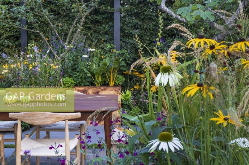 The Parsley Box Garden. Detail of courtyard garden seen from outside with table and chairs in early Autumn. Featuring planting of grass Anemanthele lessoniana with Echinacea purpurea 'White Swan', Rudbeckia fulgida var. deamii, purple Salvia, and garlic chives, Allium tuberosum.