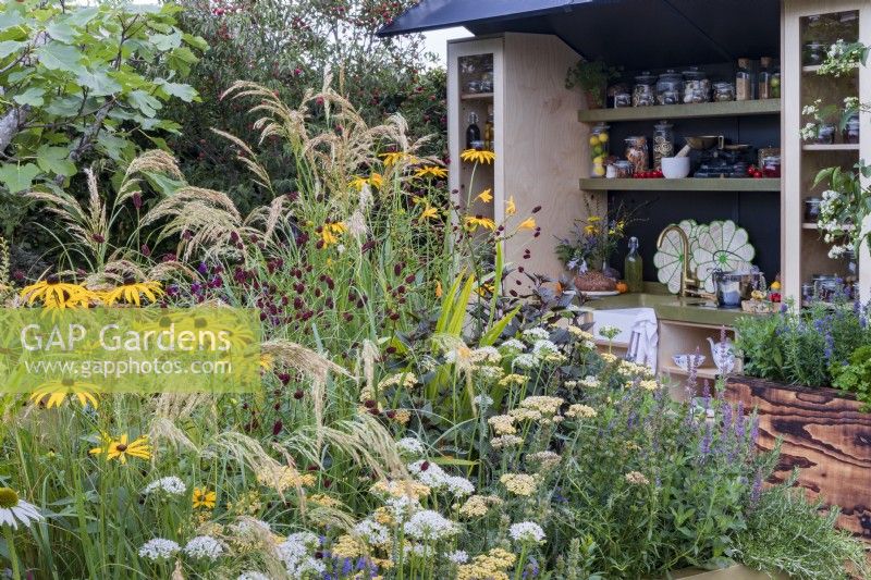 The Parsley Box Garden. Outdoor kitchen with sink and shelves. Foreground planting includes rosemary, Anemanthele lessoniana with Rudbeckia fulgida var. deamii, Achillea 'Terracotta', and garlic chives, Allium tuberosum.