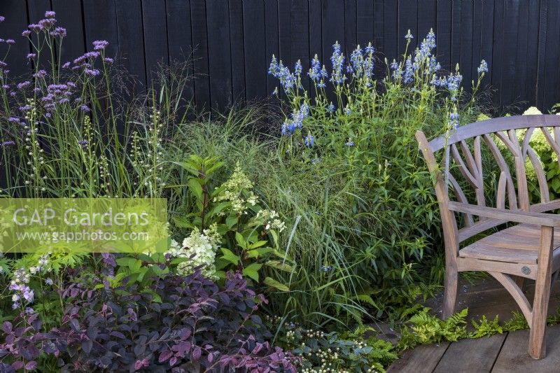 Gaze Burvill Stand. Curved wooden bench with mixed planting and black painted timber fence behind. Plants include Verbena bonariensis, Salvia uliginosa 'Ballon Azul', hydrangea, and grasses.