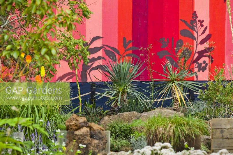 Drought tolerant meadow with  Yucca rostrata,  RHS COP26 Garden, RHS Chelsea Flower Show 2021, Design: Marie-Louise Agius, Balston Agius