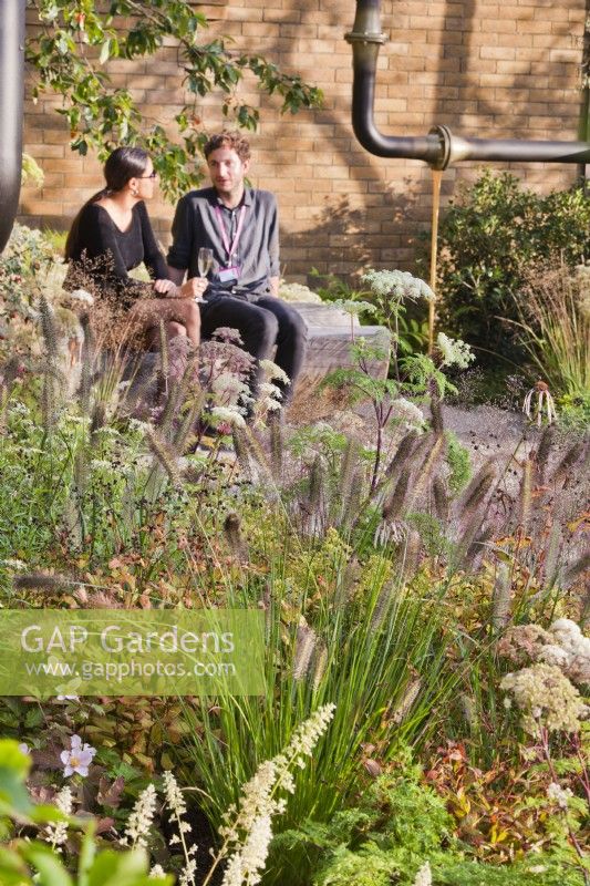 Mixed autumn planting and a couple chatting in the background.  Plants are Echinacea pallida, Selinum wallichianum, Sporobolus heterolepis and Pennisetum alopecuroides 'Cassian's Choice'.  The M&G Garden, RHS Chelsea Flower Show 2021