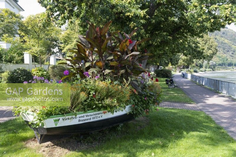 Garden feature - boat adorned with amongst others canna along the quayside of Boppard, Germany