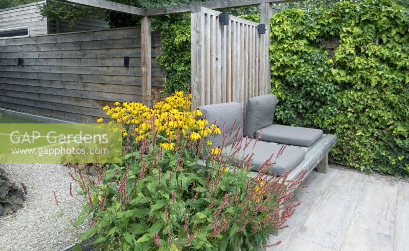 Wooden fence. Dividing garden with wooden bench and wooden pergola. Gravel and wooden surface. Rudbeckia, Persicaria and Heuchera in the border.