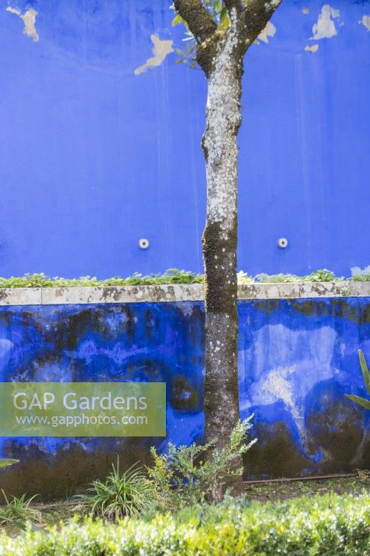 Distressed blue-painted walls of the Garden of Venus. Lisbon, Portugal, September.