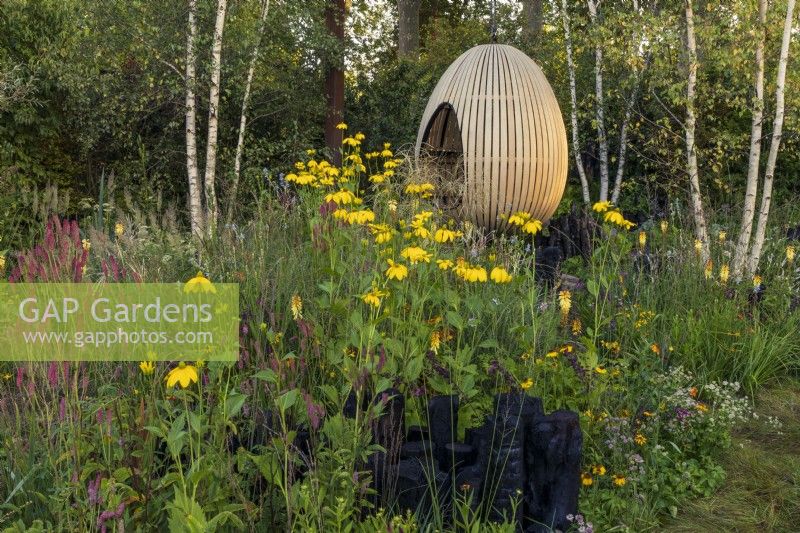 Yeo Valley Organic Garden. A suspended, steam-bent, oak egg seat forms the focal point of the garden. Naturalistic perennial meadow with burnt wood sculptures in the foreground. Planting includes silver birches, Betula pendula, Kniphofia 'Tawny King', Rudbeckia laciniata
'Herbstonne', Calamagrostis brachytricha, and various Persicarias.