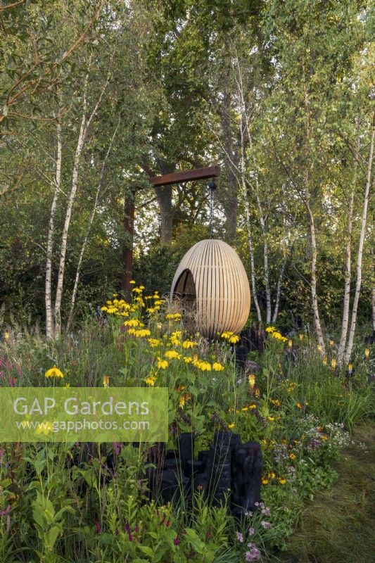 Yeo Valley Organic Garden. A suspended, steam-bent, oak egg seat which forms the focal point of the garden. Naturalistic perennial meadow with burnt wood sculptures in the foreground. Planting includes silver birches, Betula pendula, Kniphofia 'Tawny King', Rudbeckia laciniata 'Herbstonne', Astrantia major var. rosea, Calamagrostis brachytricha, and various Persicarias.