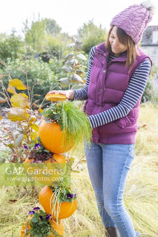 Woman placing a pumpkin top over the plants on the top pumpkin