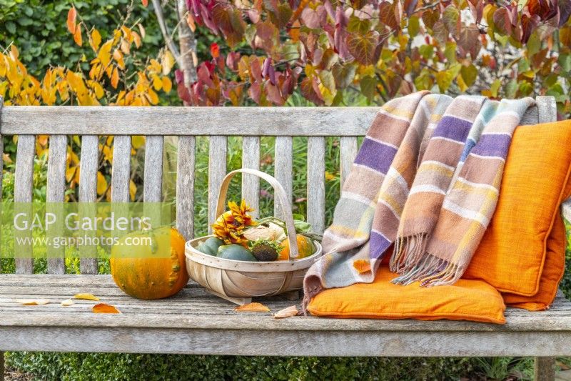 Autumnal arrangement on a bench
