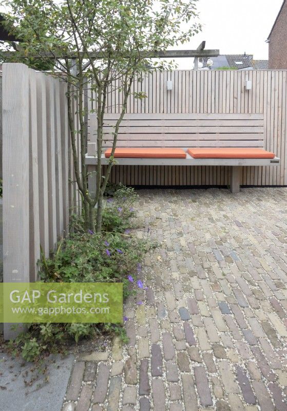 Special designed wooden bench at wooden fence with orange cushions and multi-stem tree in the border.