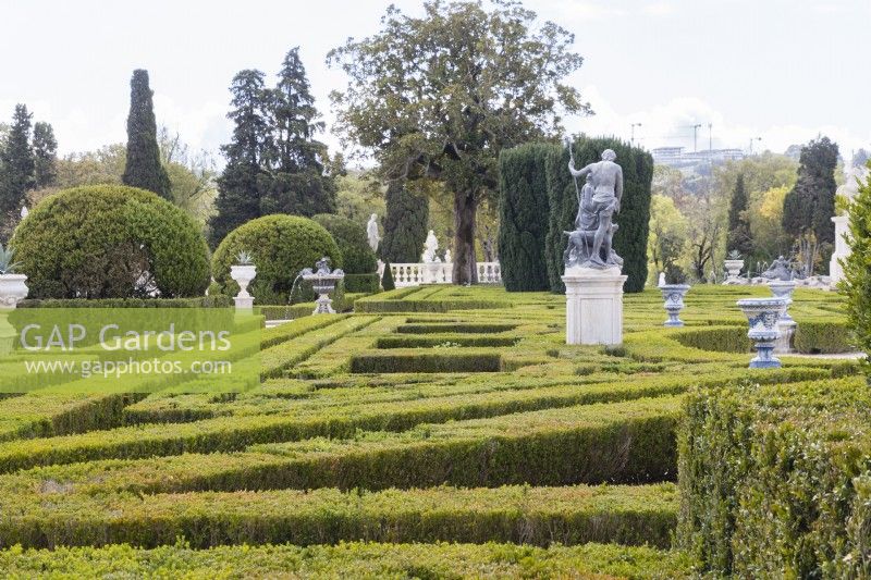 View across tops of Buxus - Box - hedges to topiary and statues. Queluz, Lisbon, Portugal, September. 