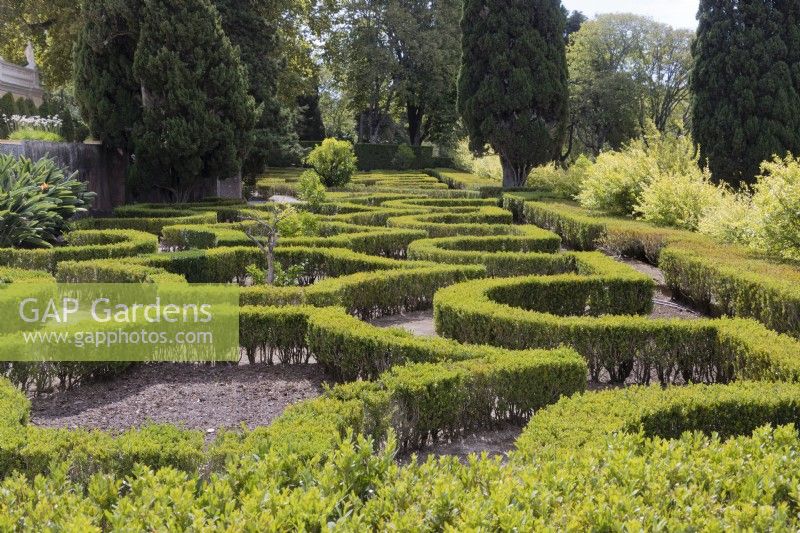 View over the Old Labyrinth Garden. Low hedges of clipped Box with planting of pomegranate fruit tees in beds within hedges. Queluz, Lisbon, Portugal, September. 