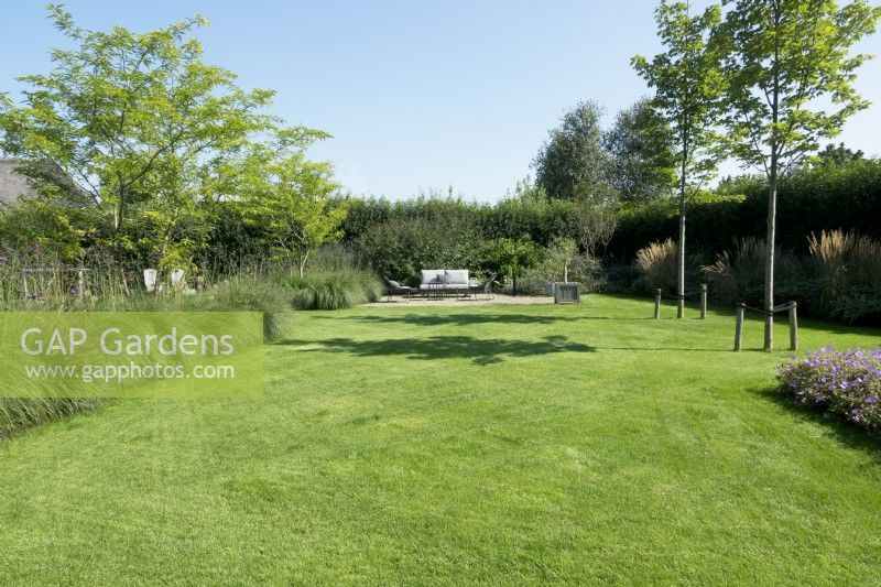 Lawn with view of terrace and grasses and trees in borders.