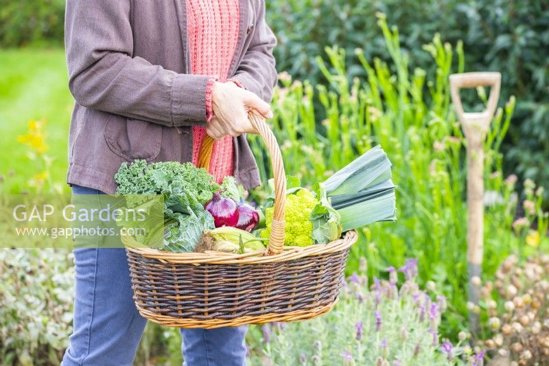 Woman carrying a wicker basket full of vegetables
