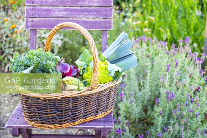 Wicker basket full of vegetables