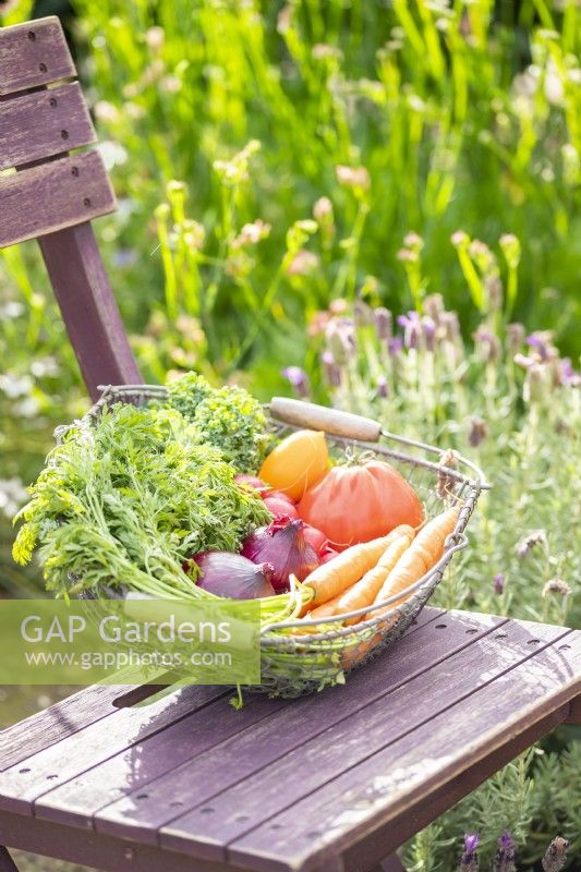 Wire basket full of fruit and vegetables
