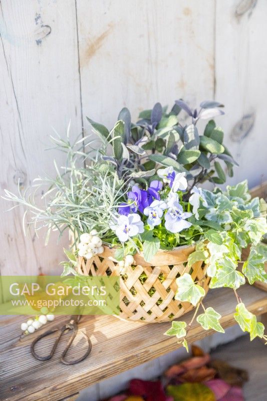 Small basket containing VIolas, Ivy, Helichrysum, sage and Snowberries next to a small wooden tray
