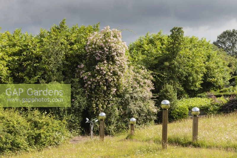 Avenue of stainless steel globes mounted on wooden pillars in the meadow. Rosa 'Belvedere' in centre of image. July, Summer.