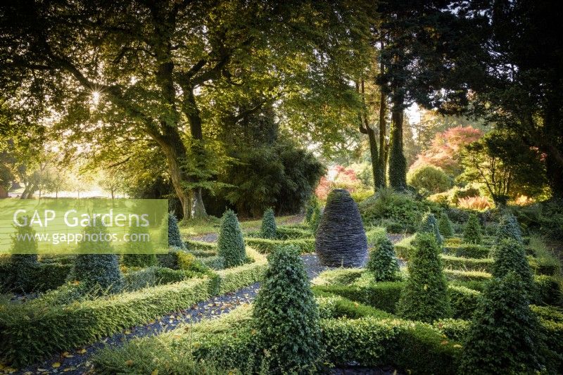The Slate Garden, designed by Elizabeth Banks, using a number of different varieties of box and Lonicera nitida at Hergest Croft, Herefordshire in October