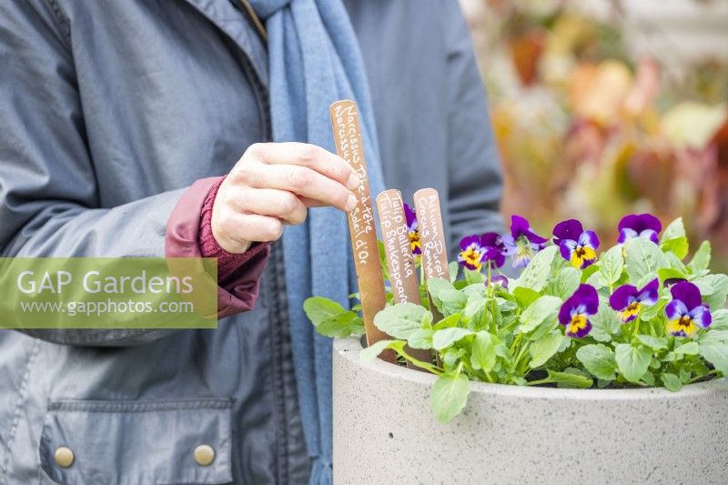 Placing plant label in pot