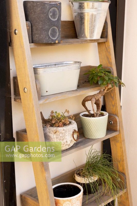 External garden shelf with plants in containers