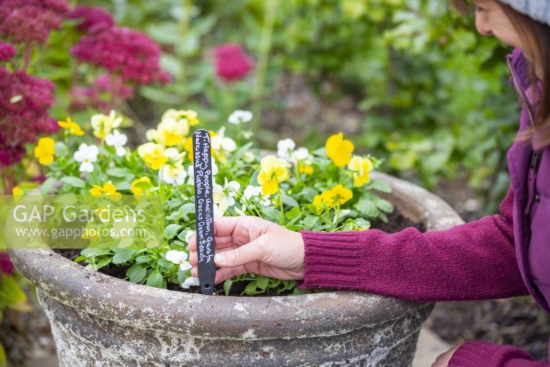 Woman placing plant label in pot