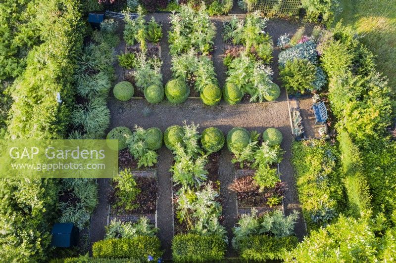 View over formal beds planted with Cynara - Cardoons, Clipped Box domes and bed of Crocosmia on left; image taken with drone. July. Summer.