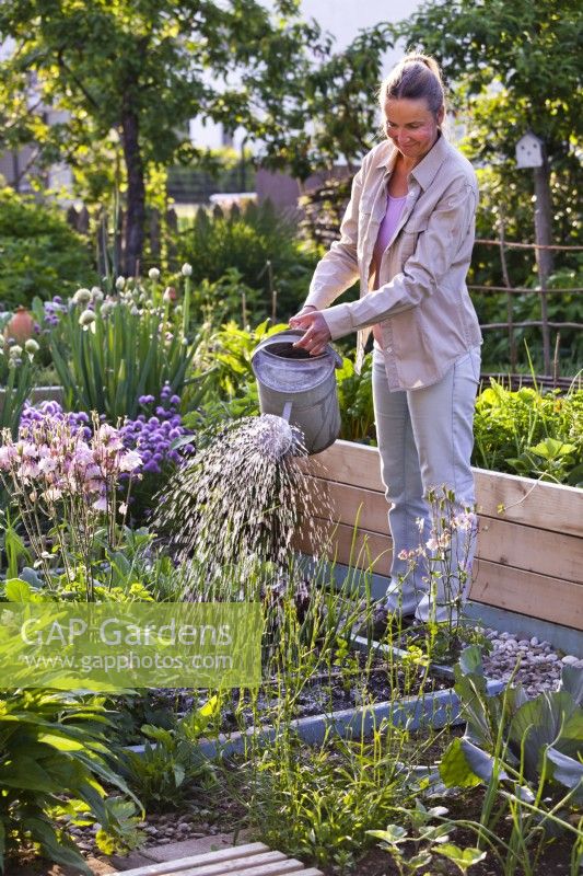 Woman watering a vegetable bed with new growth.