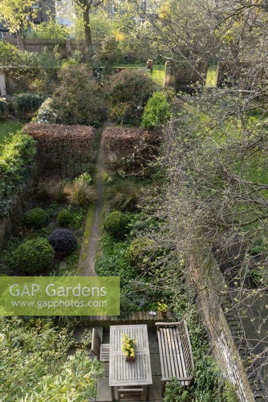 Looking down onto the garden at Loftus Road. A central path leads down the plot, which has been divided widthways by a Fagus sylvatica hedge and Photinia x fraseria 'Red Robin' lollipops.  To add year round interest there are Buxus sempervirens globes and Pittosporum 'Tom Thumb' globes. 