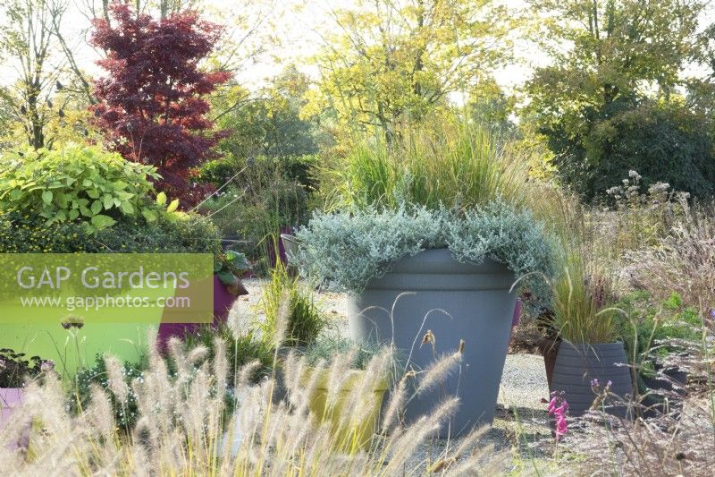 Grey, green and purple containers filled with mixed plants.
