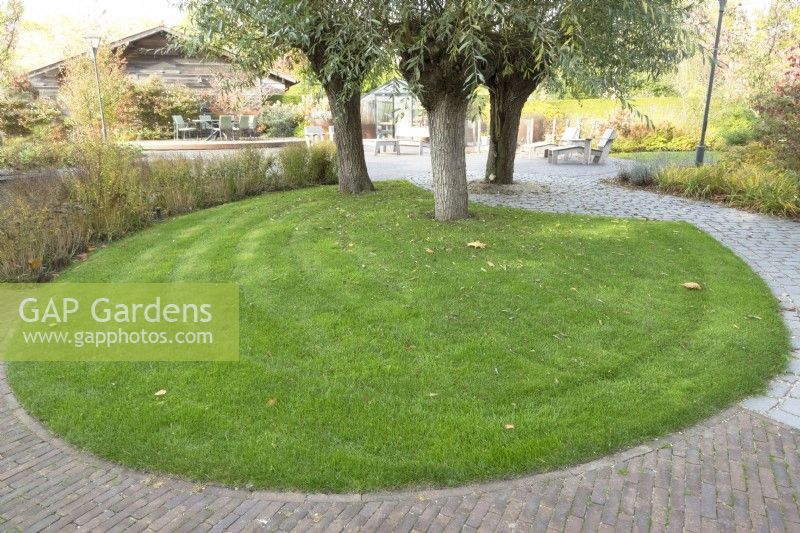 Round shaped lawn with three willows.
