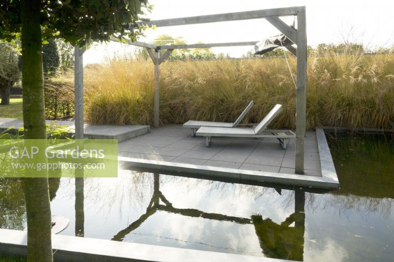 Pond with lounge chairs on terrace, pergola with Molina arundinacea.