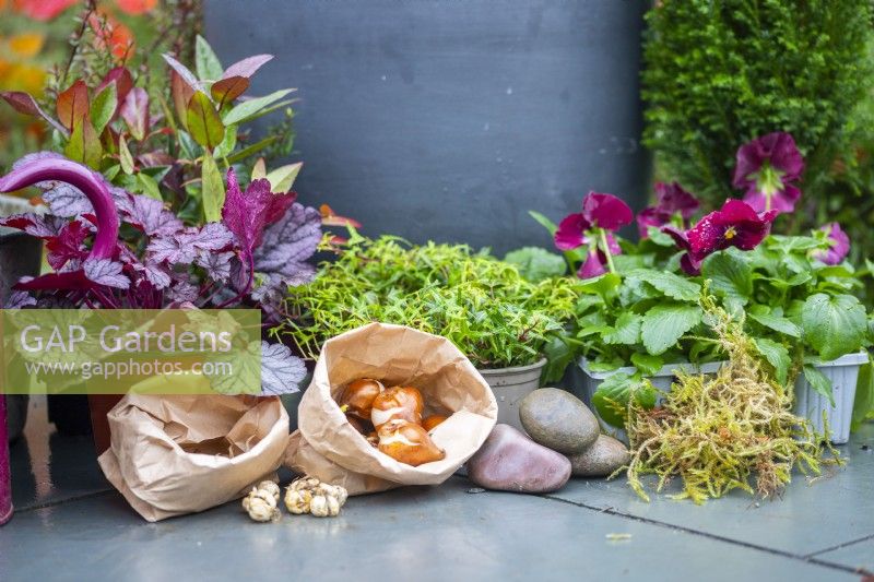 Bulbs, stones, moss, and plants laid out on the ground around the container