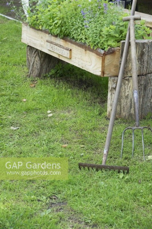 Garden herbs in wooden container and rakes.
