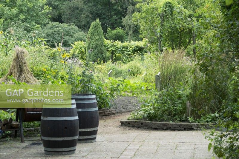 Old wooden barrels and hay sheaf with view on herbal garden.
