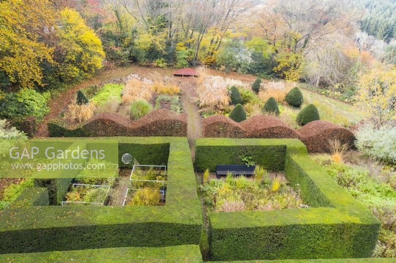 View over mature clipped hedges of Yew containing two distinct garden rooms. Wave form hedge of Beech. Area planted with ornamental grasses in blocks with several clipped Yews in cone form; image taken with drone. November. Autumn.