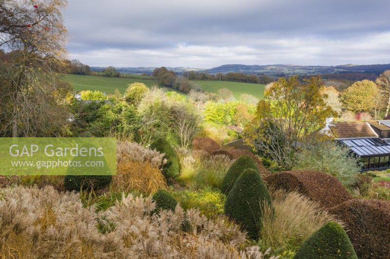 View over area planted with blocks of ornamental grasses and mounds of clipped Yew to the surrounding countryside; image taken with drone. November. Autumn.