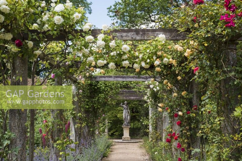 Formal pergola with  climbing roses leading to statue