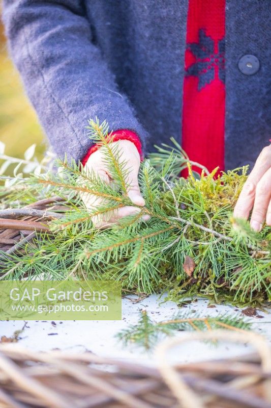 Woman placing Pine sprigs on wreath